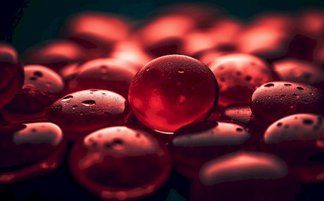 фото с freepik.com